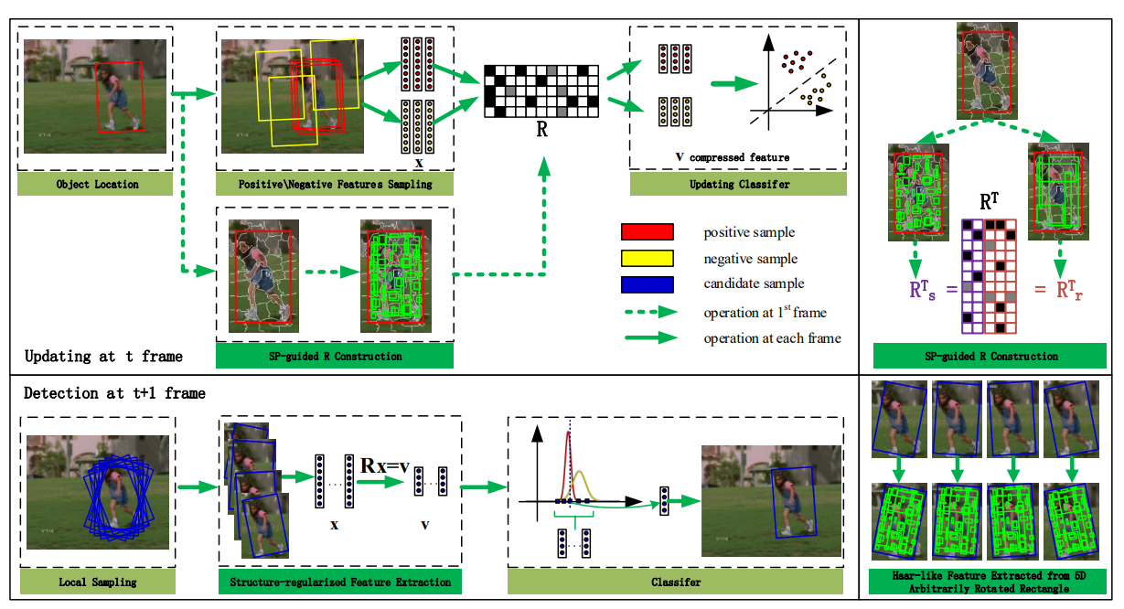 Structure-regularized compressive tracking with online data-driven sampling